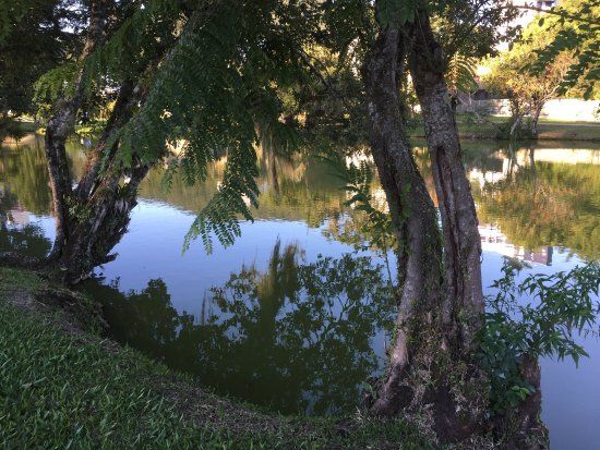 Jardim Botânico de Florianópolis